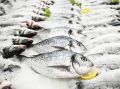Новый ГОСТ на мороженую рыбу: жесткие стандарты качества