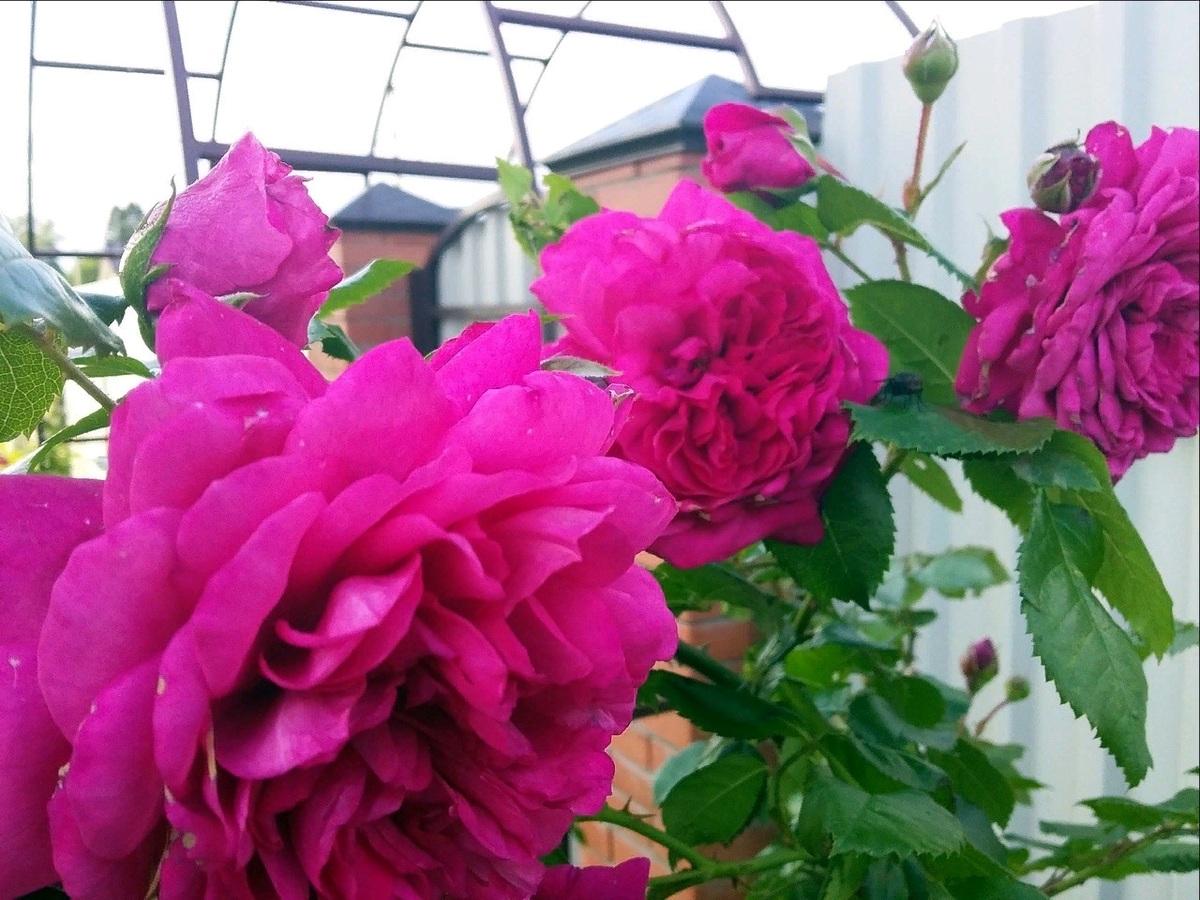 Весна в частном доме: неожиданные расходы, о которых стоит знать