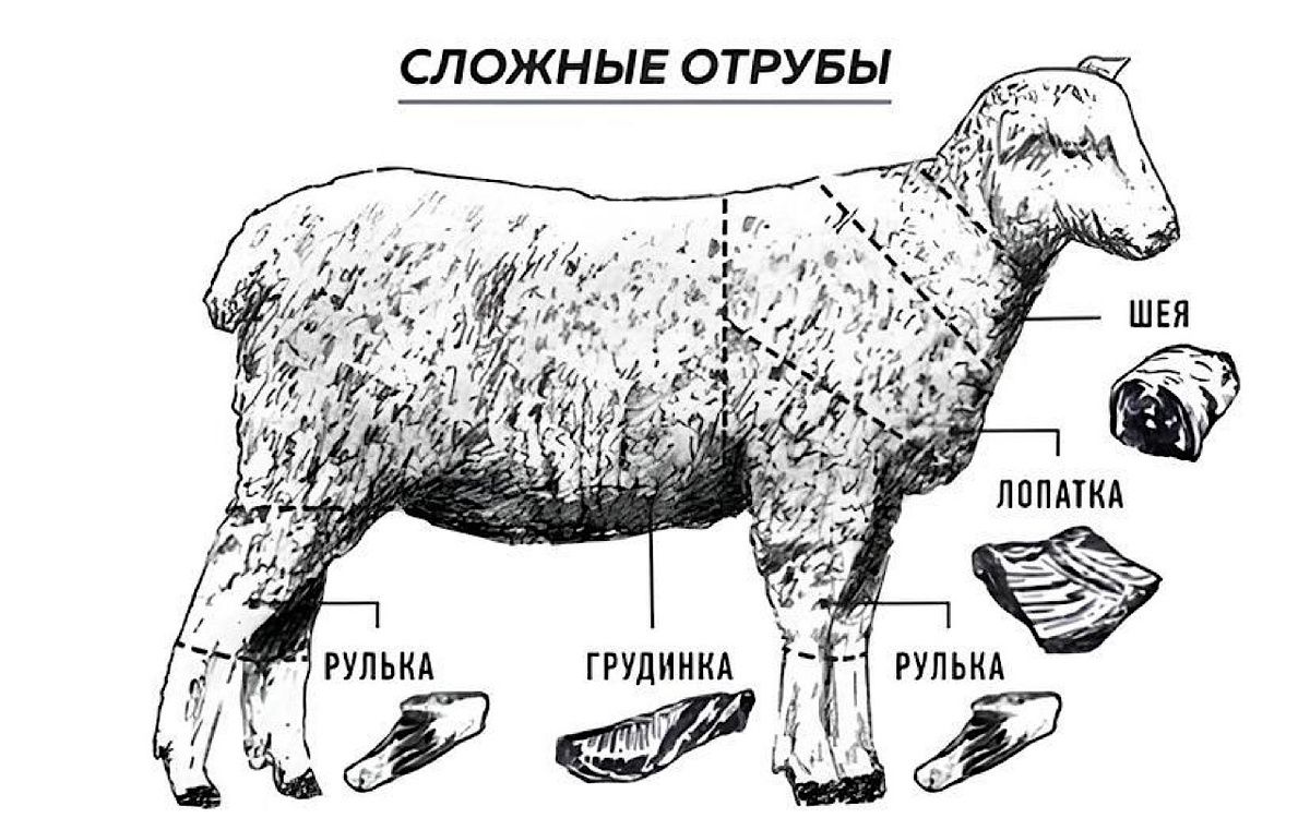 ��� ������� ��������� ��������: ������� �� ��������������