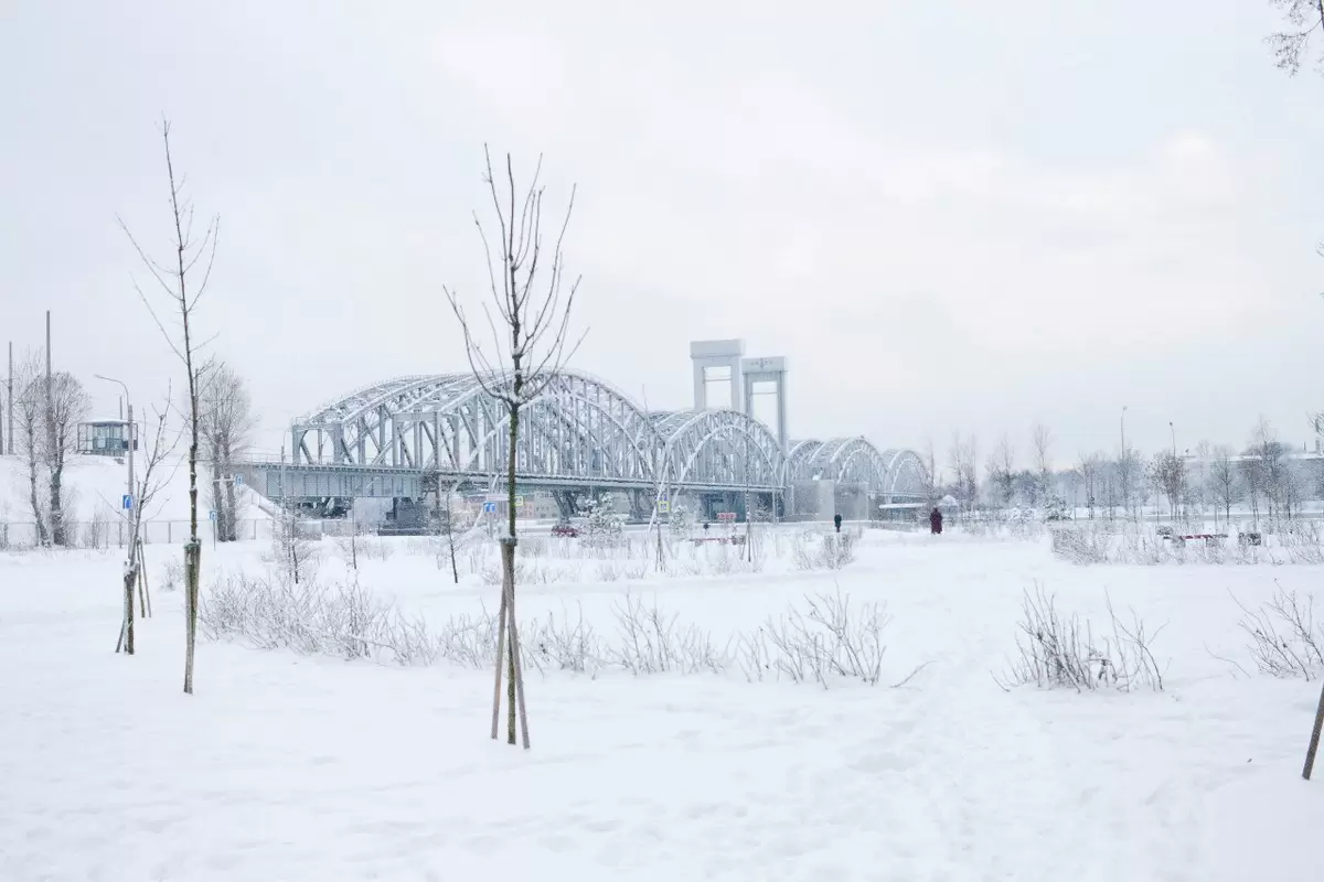 Как нас зимняя природа вдохновляет на простоту и уют