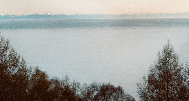 ��� ������� ��������� ����