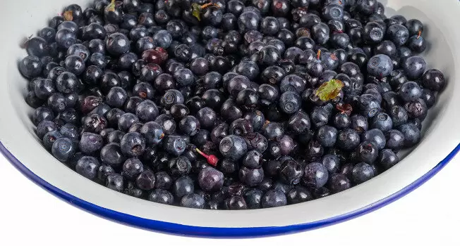 Популярные рецепты с черникой от шефов