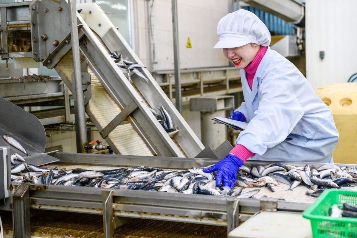 ������ �� �������� �����: ������� ���� � 2025 ���� ����� ���������� 6 ���������� ��������