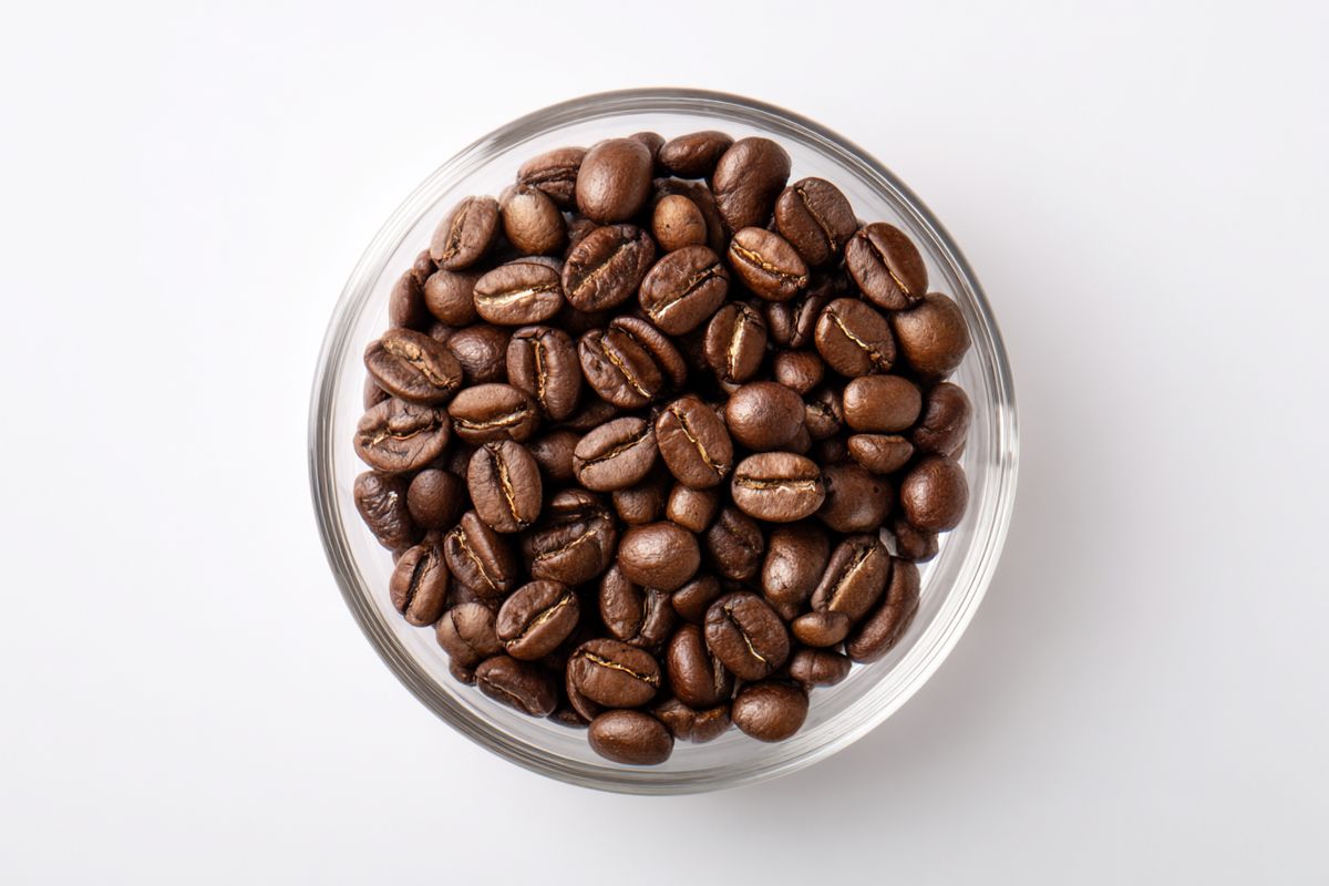 ������ ������ ���� � ����� ������ ����� ����������