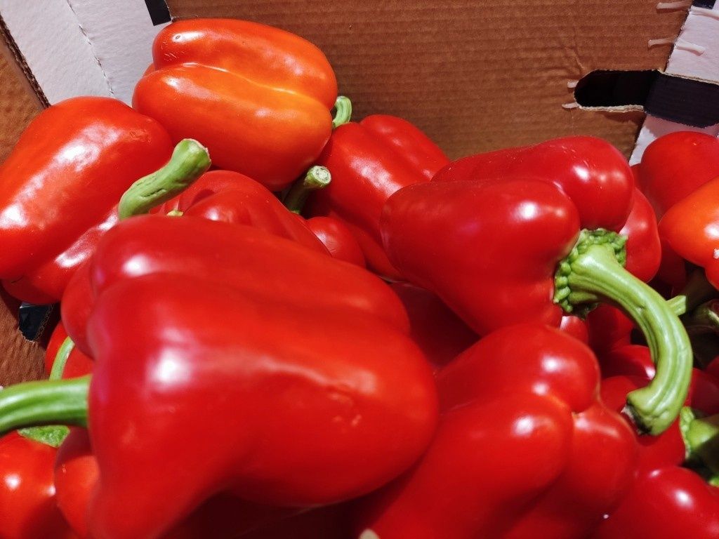 ������� ��������� ����������� �����: ������ � ����� ����� � ������