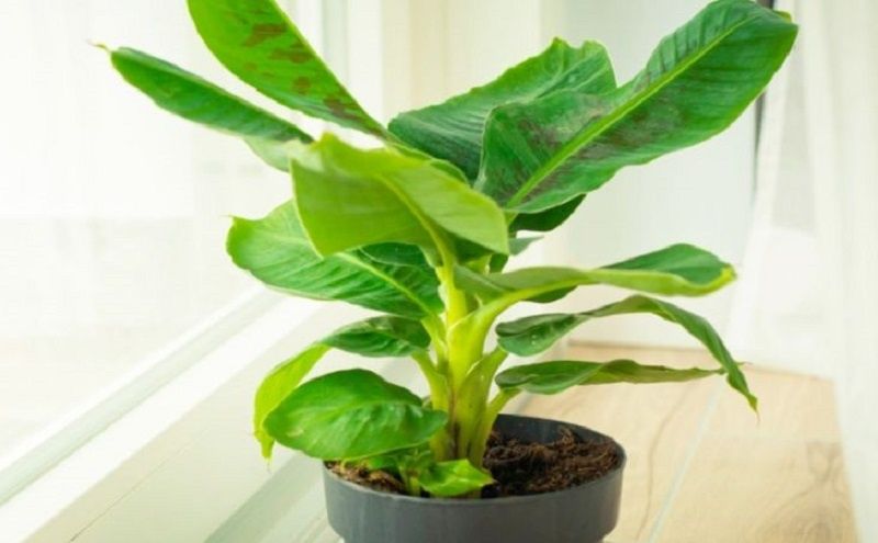 ��� ��������� ��������� ������ ���� � ������� ������� �� �����������