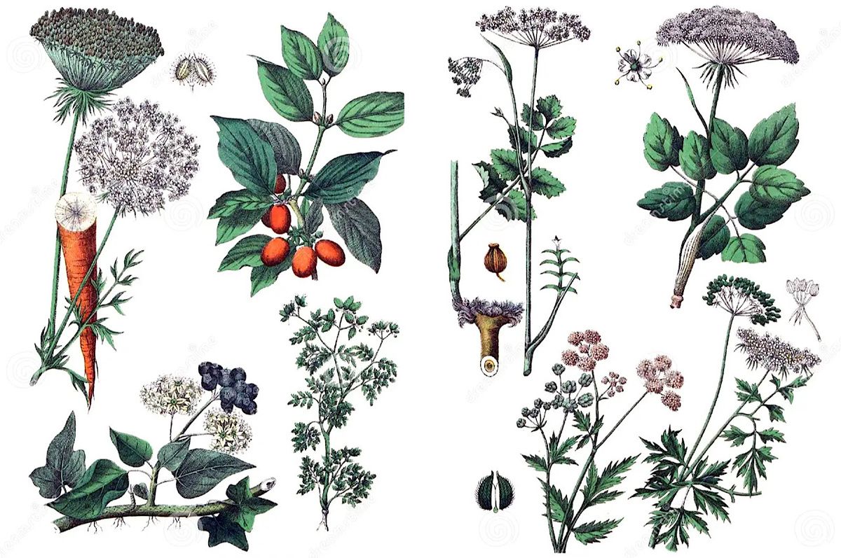 ���������� �����: �������� ���, ������� ����� �������� ��������� ���� � ������ ���