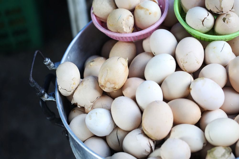 ���������������� ������: ����������, ������� �������� ���