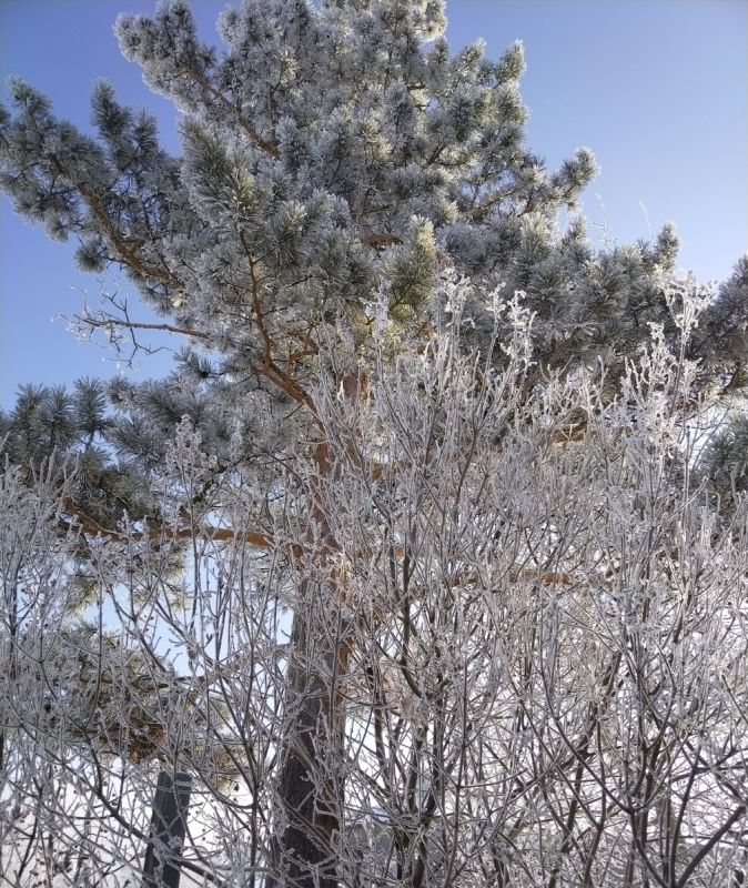 ��� �������� ���� ����������� � ���������������� ���������� �������