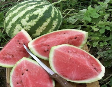 ��� ������� ��������� �����: ������ ��� ���������� �������