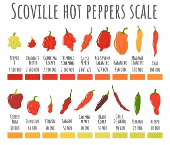 ���������� �����: ����������� ������ �����, ������� ������� ���� �����