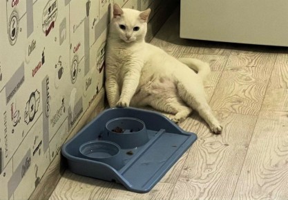 ������ ���� ����� �������� ���, ����� �� ��������?