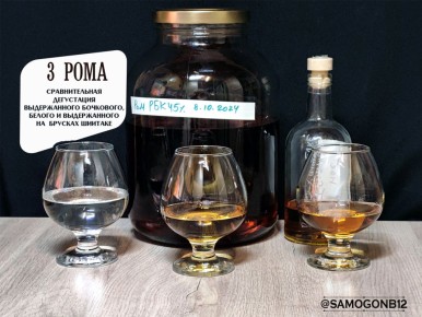 ����������� �� �������� ����: ������������� ������ ���� ���������� ���������