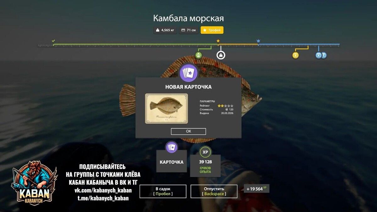 Красоты Норвежского моря: отчет о трофейной рыбалке