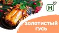 ��� ���������� ���� ���� ������ ������������ �����: ������� � �������