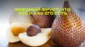 Салак: экзотический змеиный фрукт с удивительными свойствами